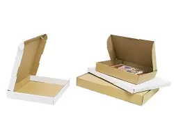 Postkartons für Maxibriefe