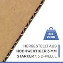 Karton 20x15x9 cm - Versandkarton 200x150x90 mm - Faltkarton OP 209