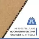Karton 200x150x90 mm - Versandkarton 20x15x9 cm - Faltkarton OP 209