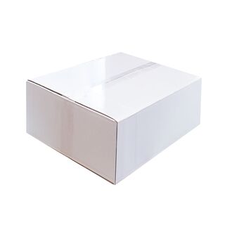 Karton 25x15x8,5 cm - Versandkarton 250x150x85 mm -...