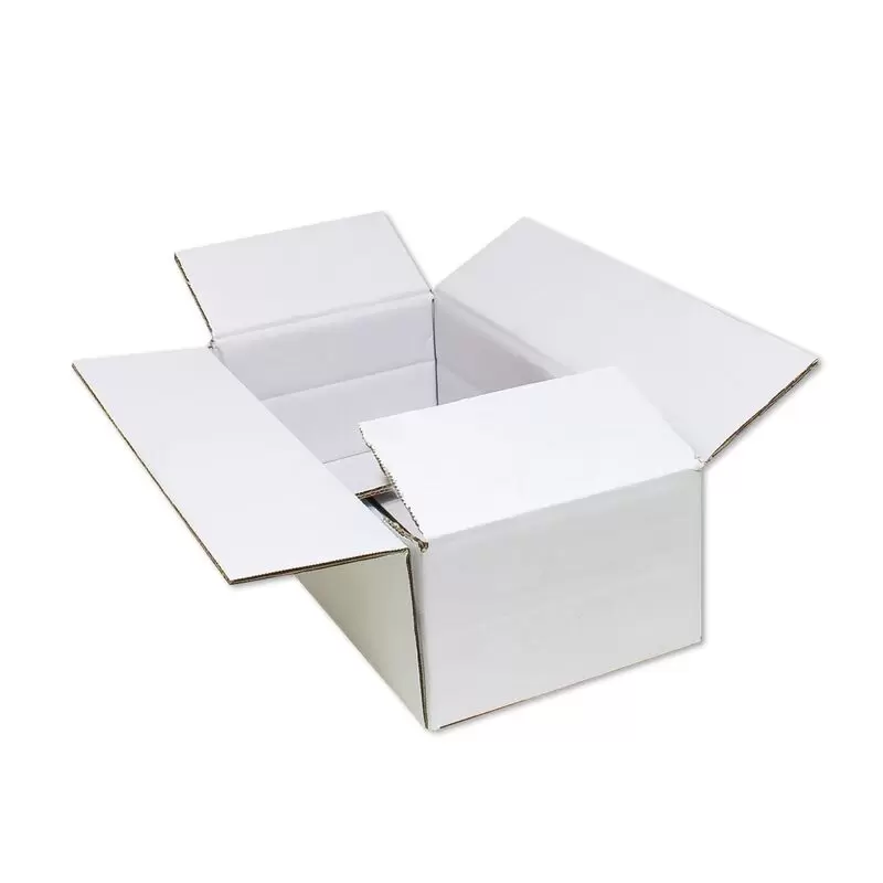 Karton 200x170x90 mm - Versandkarton 20x17x9 cm - Faltkarton 2.30 EE-Welle weiss REST