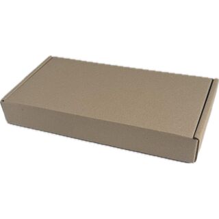 100 Stk. 380x215x50 mm Innenma Faltkarton 1.20 B-Welle...