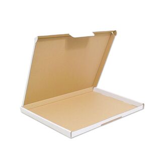 Großbriefkarton 345x250x20 mm - DIN A4 weiss